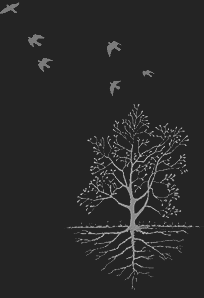 Tree_of_Paradise